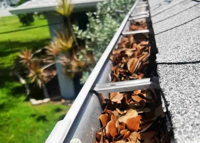 Louisville gutter cleaning home page